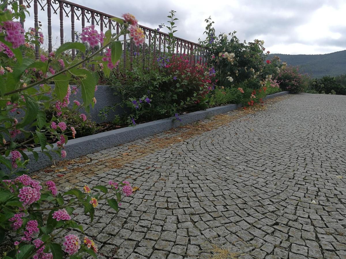 Abrigo Das Andorinhas Aveiro Exterior photo